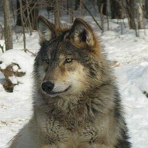 Meet your Posher, Sean